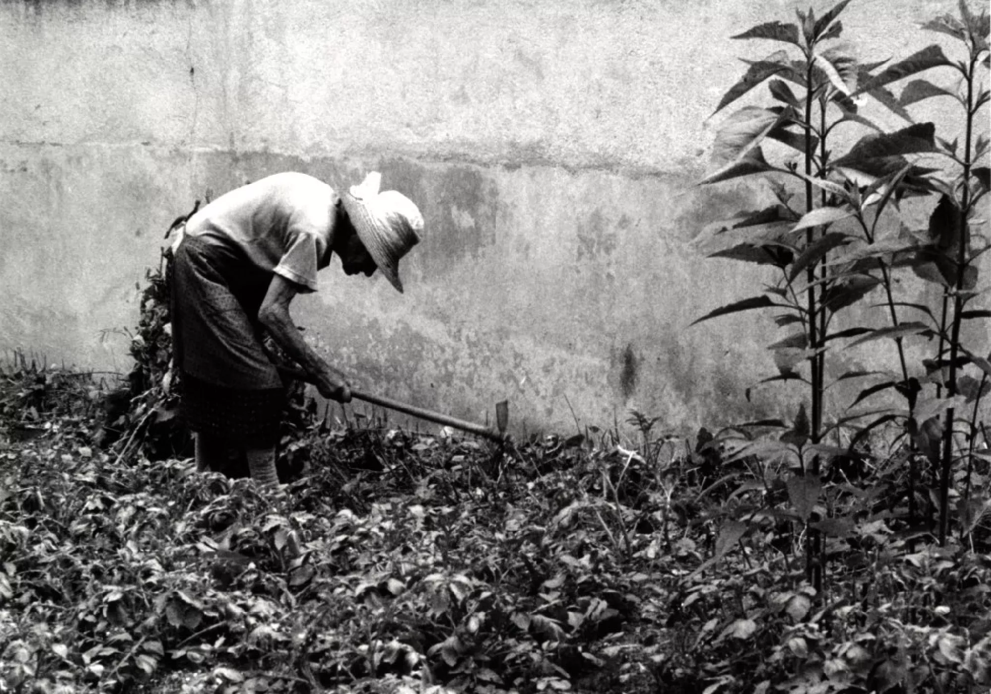 Les rides de la terre