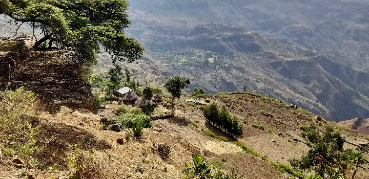 Hauts plateaux éthiopiens