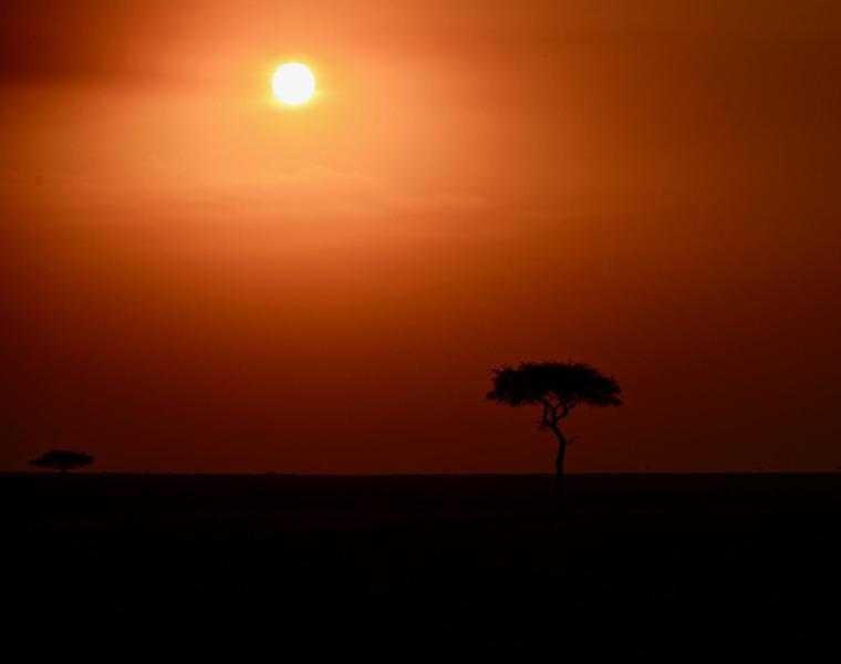 Masai Mara
