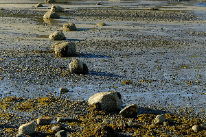 Norvège marée basse